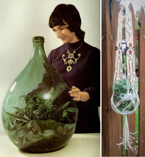We love a Terrarium