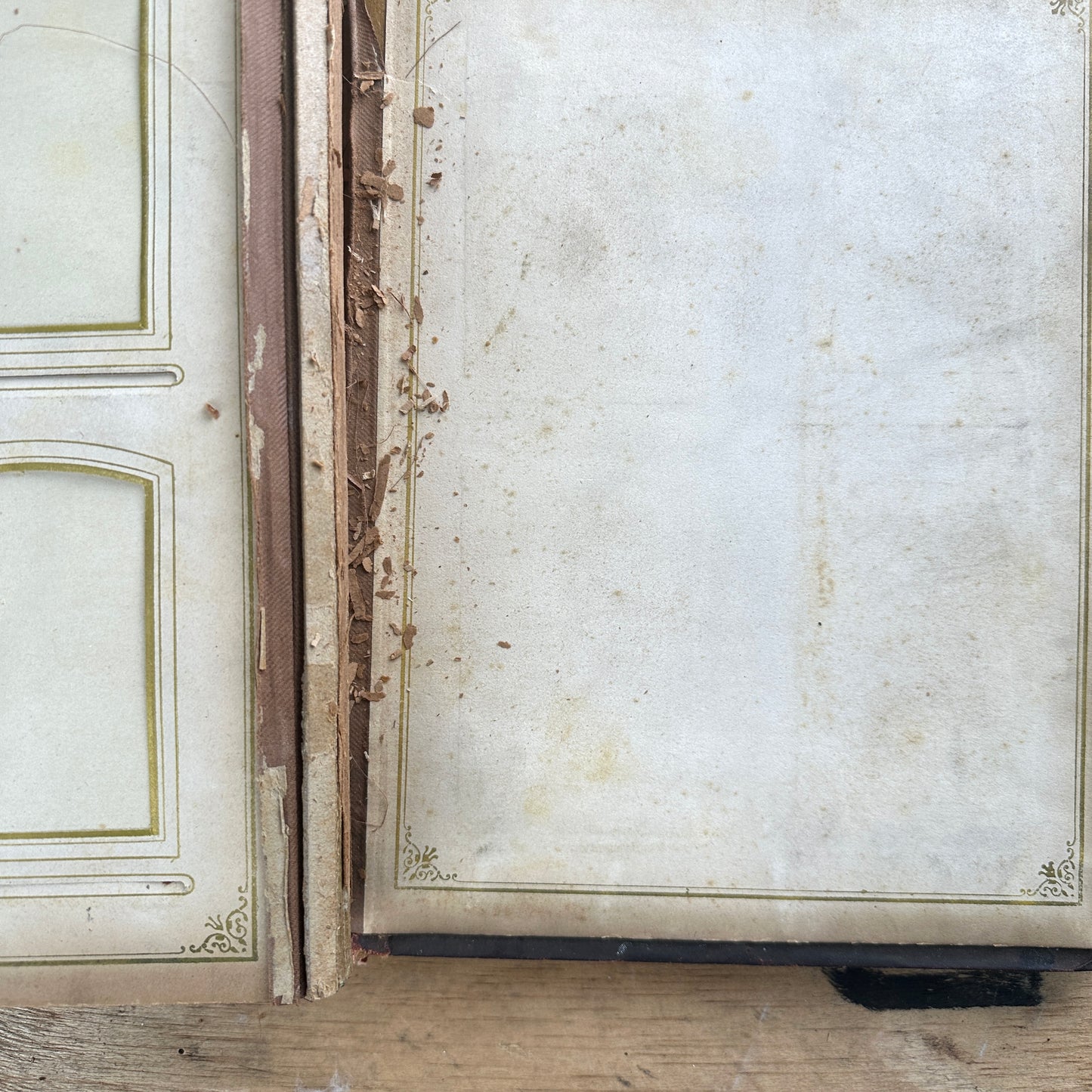Victorian Era Family Photo Album
