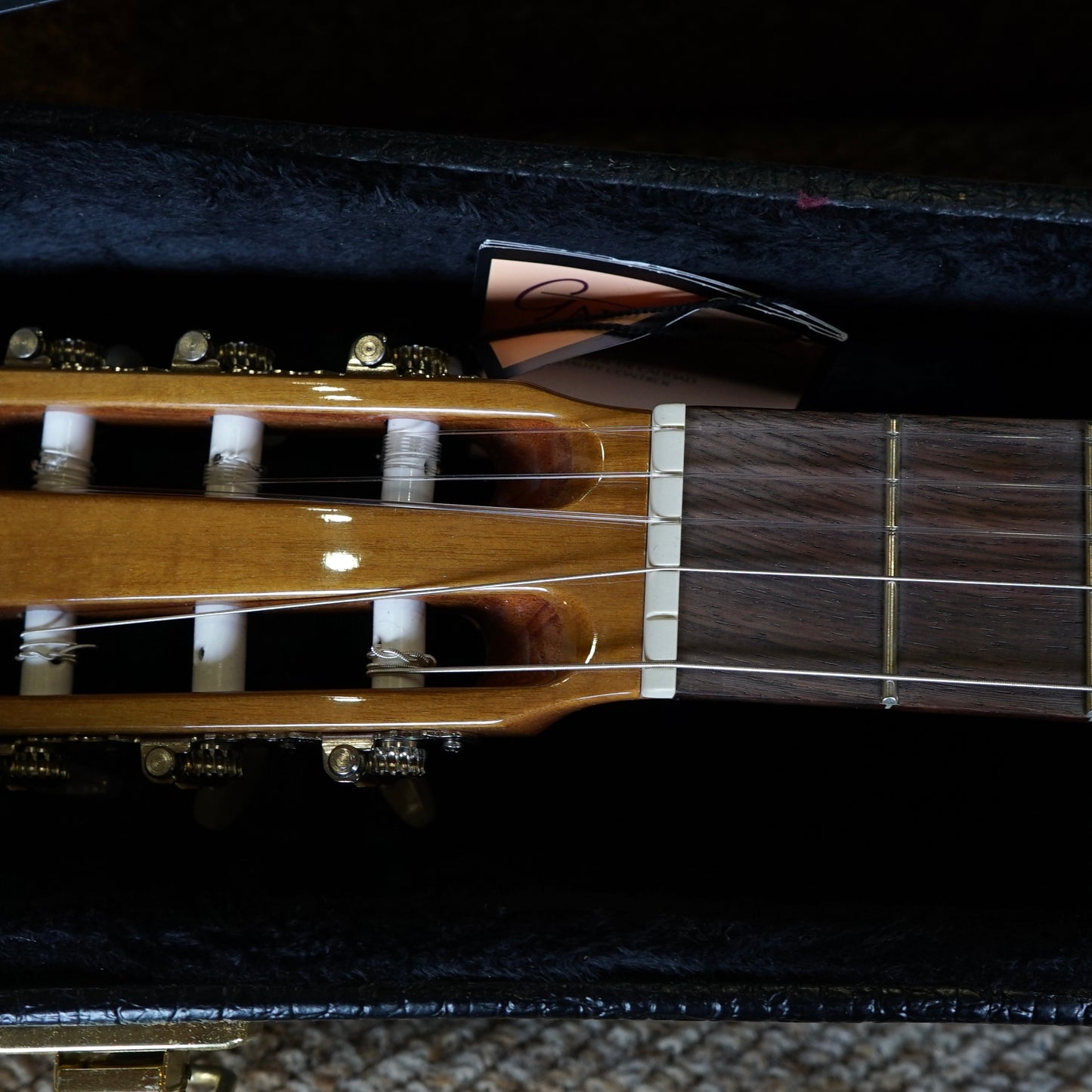 Unused Raimondo 104-B Acoustic Guitar in New Case with Keys