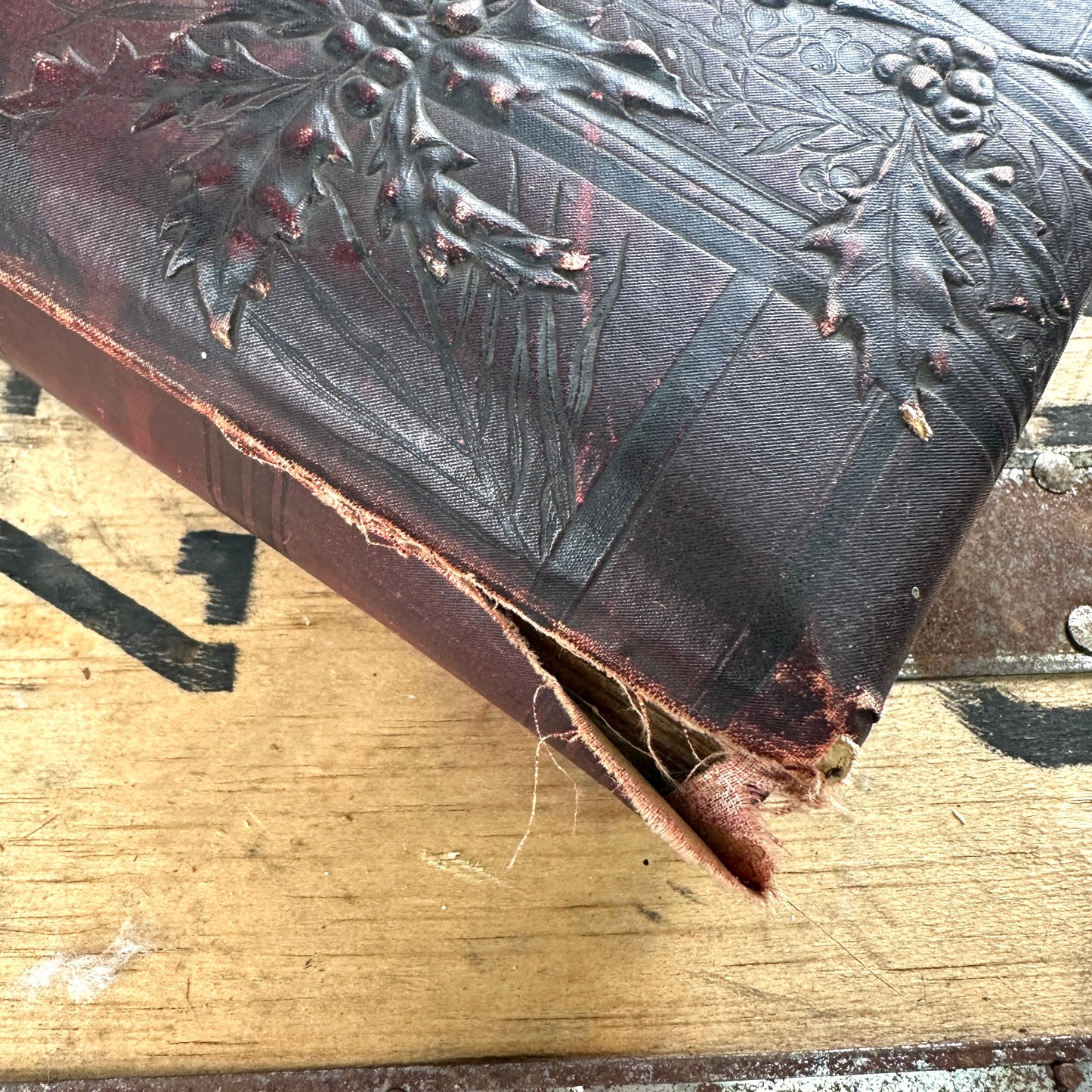 Victorian Era Family Photo Album