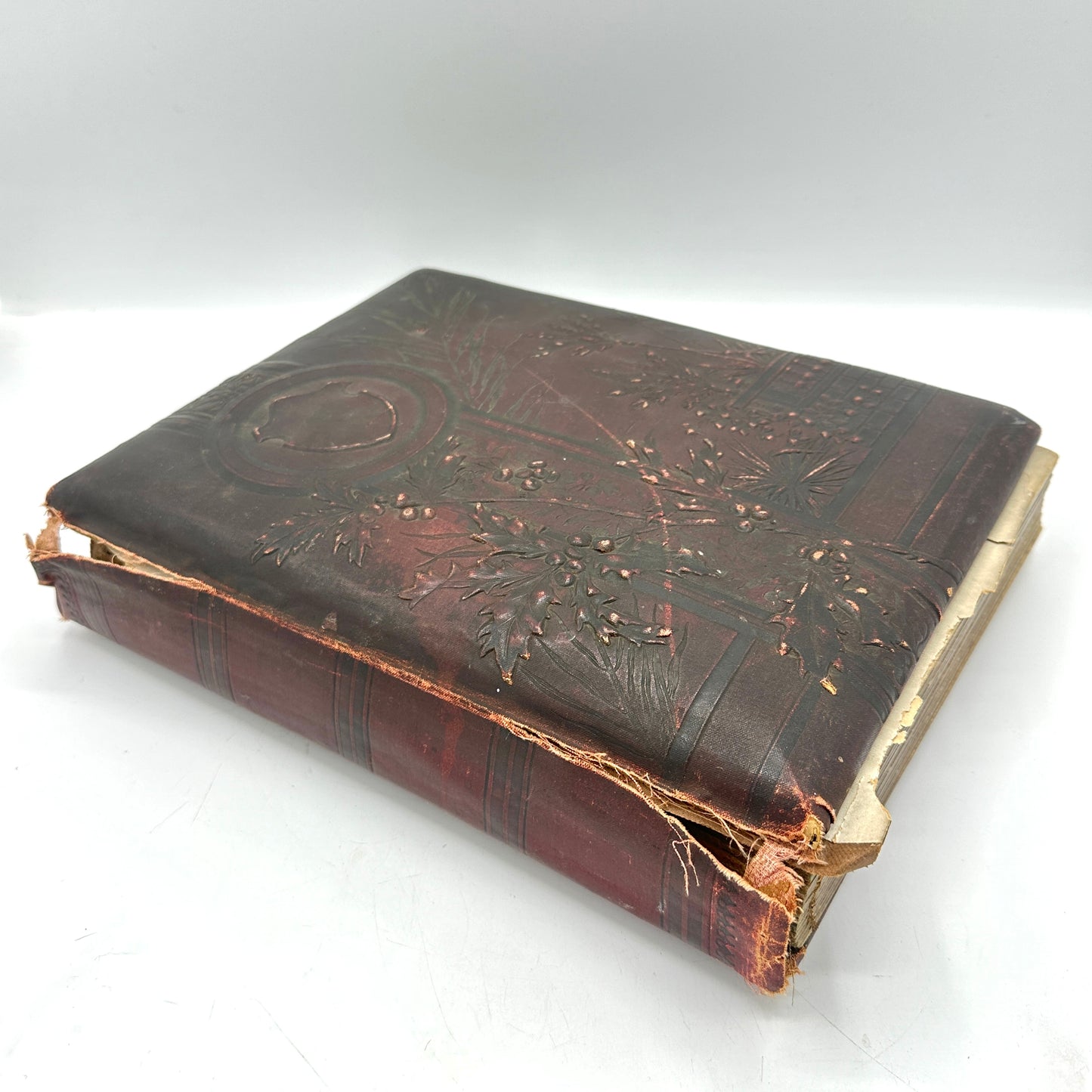 Victorian Era Family Photo Album