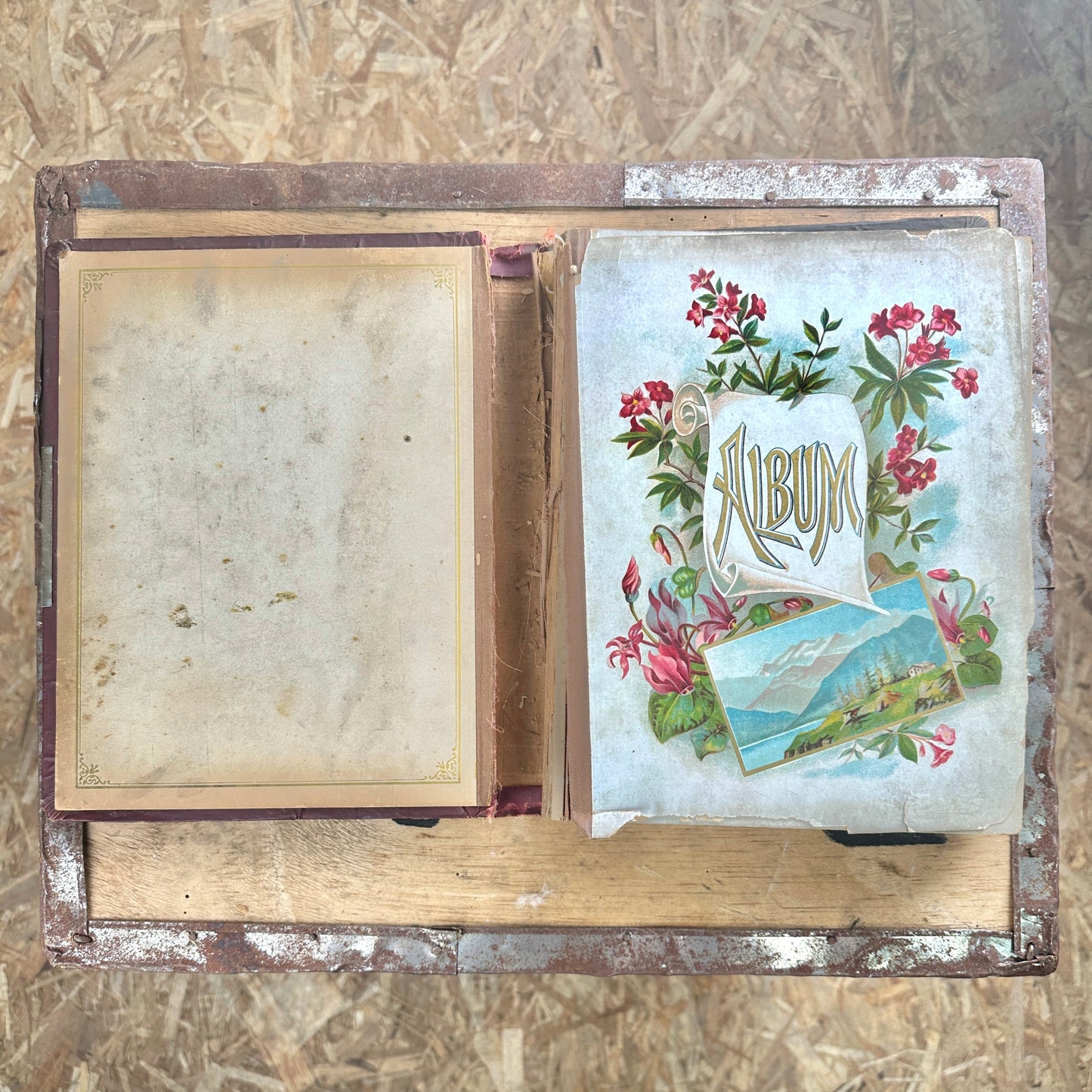 Victorian Era Family Photo Album