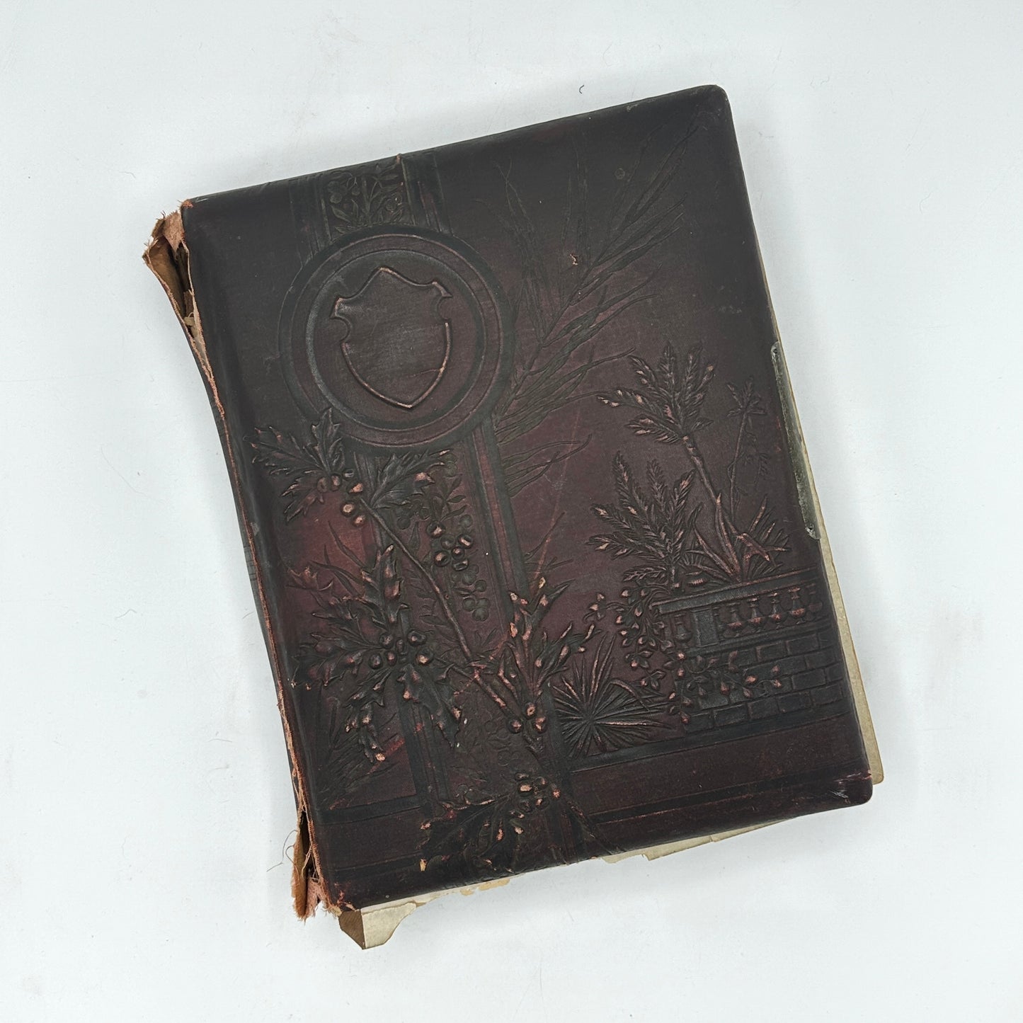 Victorian Era Family Photo Album