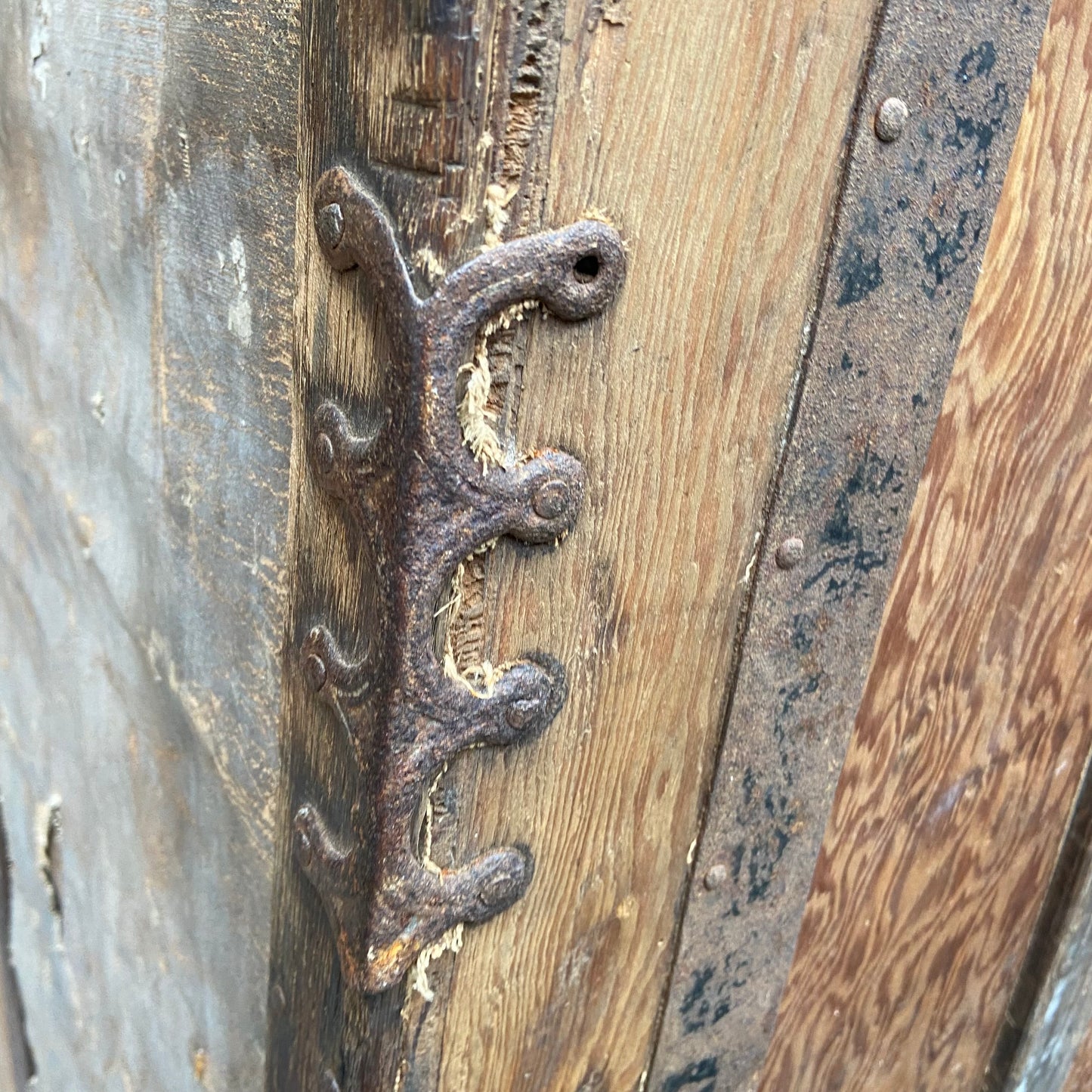Lyon & Healy Antique Harp Case