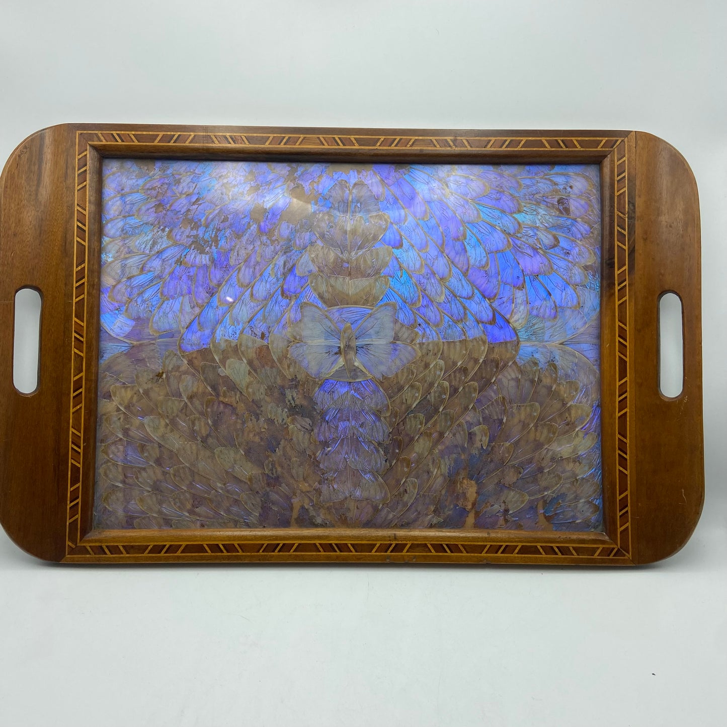 Antique art deco morpho butterfly wing tray
