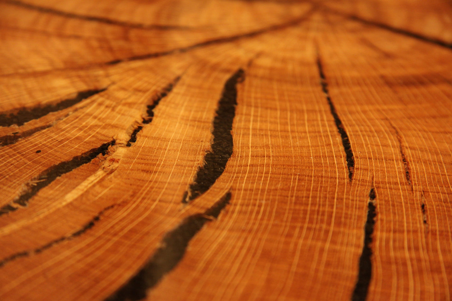Oak Round Coffee Table