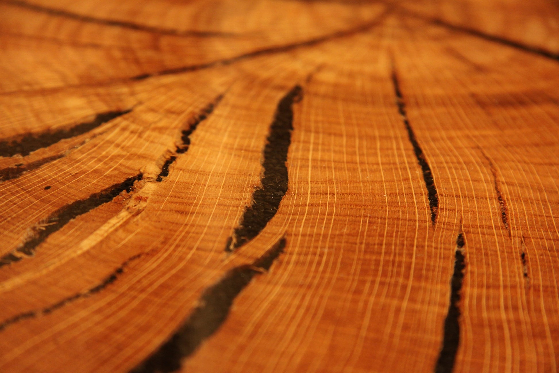 Oak Round Coffee Table