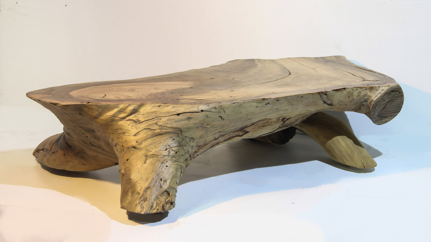 ‘Lizard’ hand carved living edge coffee table