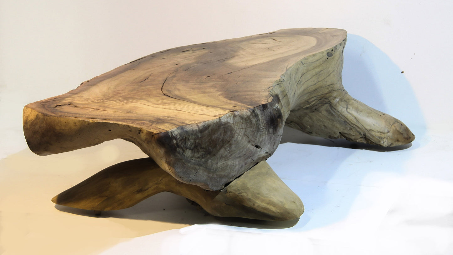 ‘Lizard’ hand carved living edge coffee table